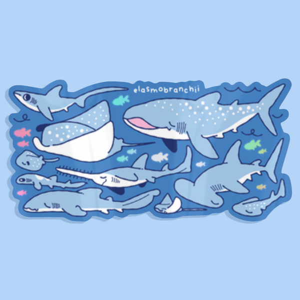 Elasmobranch Holo Sticker