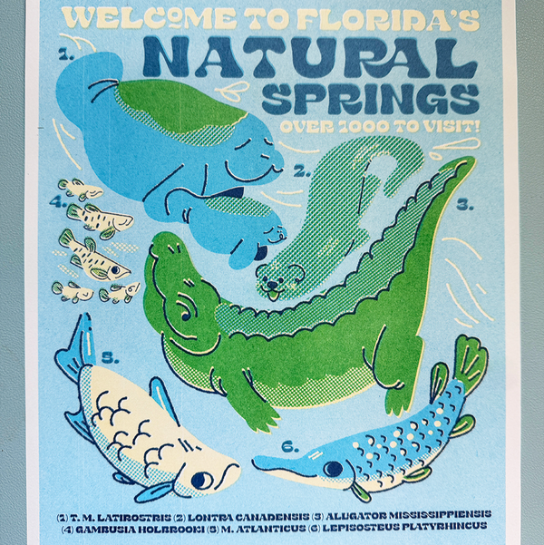 Florida Natural Springs Risograph