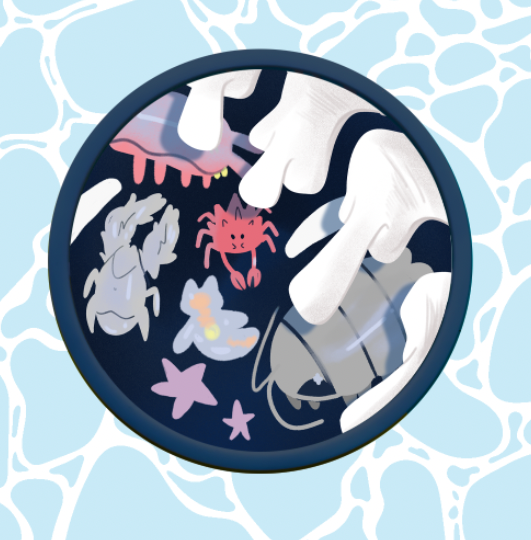 Deep Sea Liquid Coaster