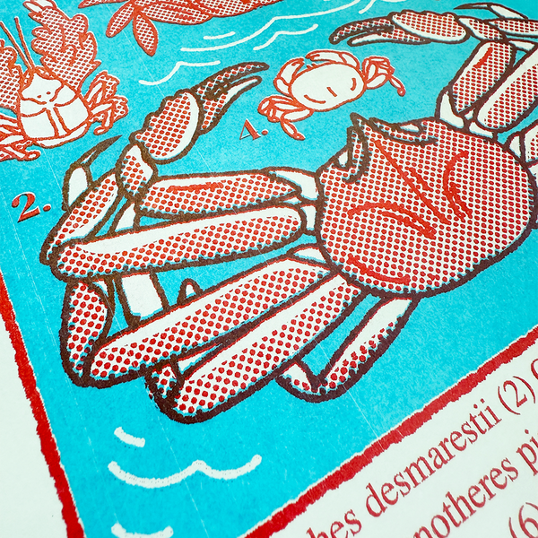 Carcinization Risograph (Seconds)