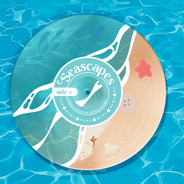 Seascapes Record Coaster