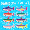 Rainbow Trout Pride Keychains