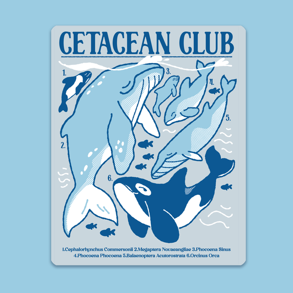 Cetacean Club Sticker