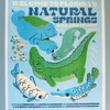 Florida Natural Springs Risograph